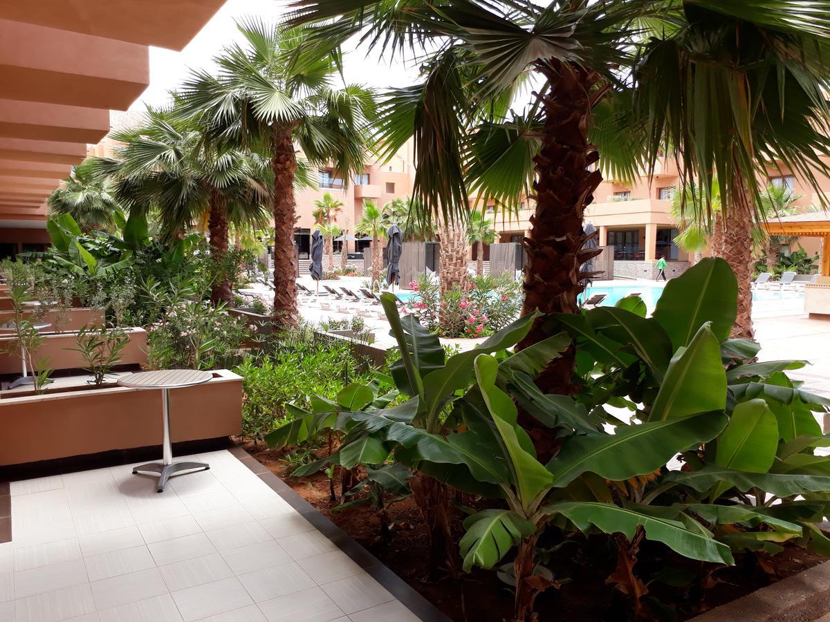 Oasis Palm فندق 4*